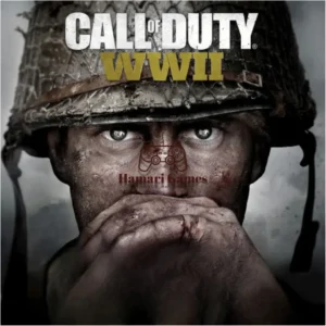 Call of Duty ww2